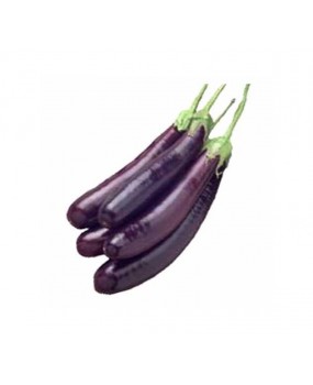 Fresh Brinjals (Aubergine)