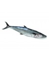 Meat & Fresh Seafood